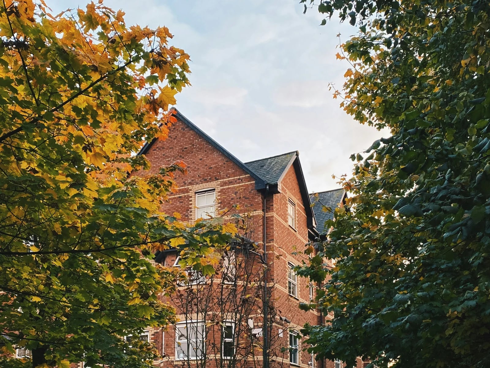 Brick school building framed by autumn trees.